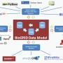 biogrid-data-model.jpg