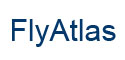 fly-atlas.jpg