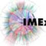 imex.jpg