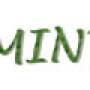 mint.jpg