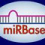 mirbase.jpg