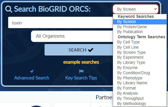 orcs:searchbox.jpg
